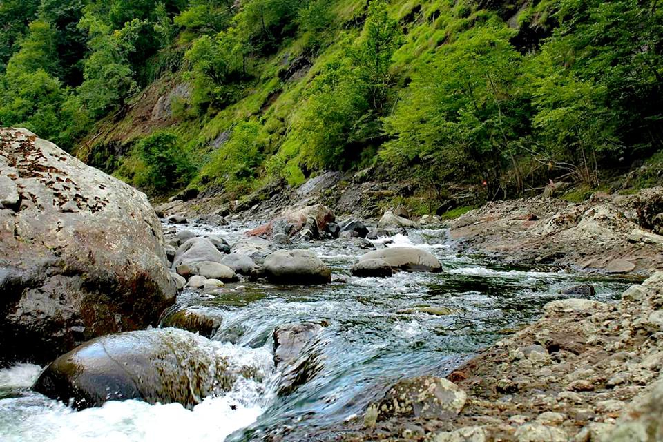 Salıpazarı Konakören Köyü Resimleri 9