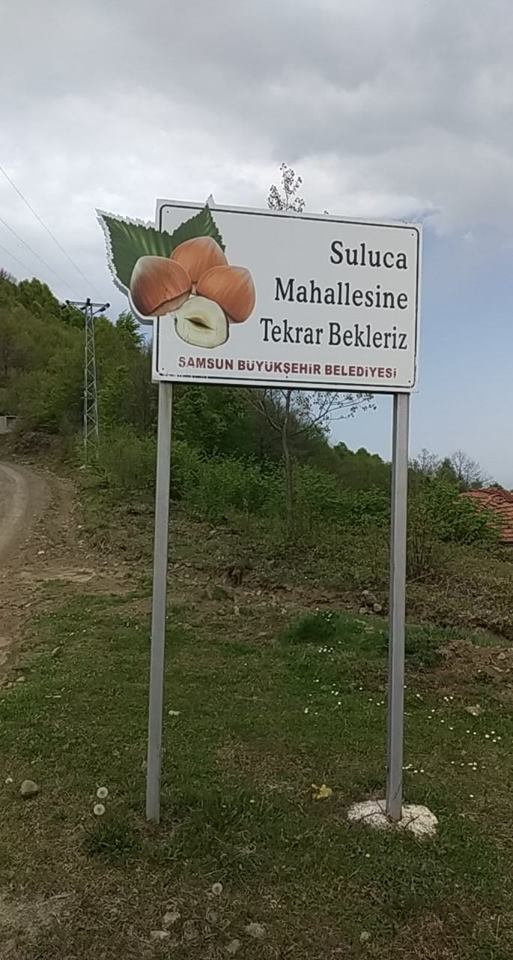 Salıpazarı Suluca Köyü Resimleri 3