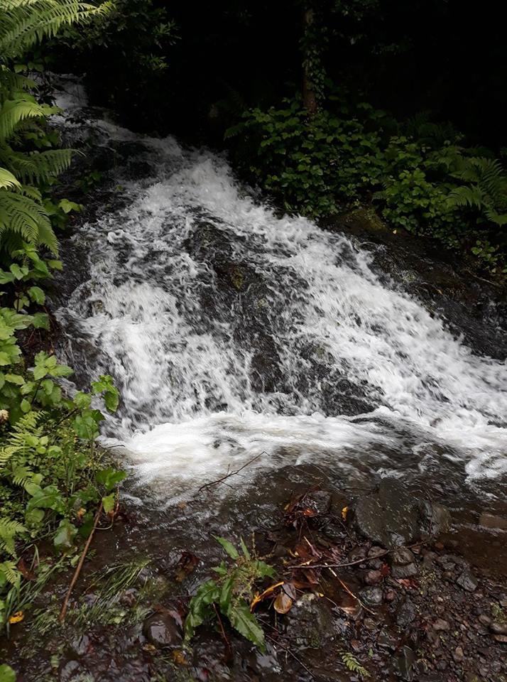 Salıpazarı Suluca Köyü Resimleri 7