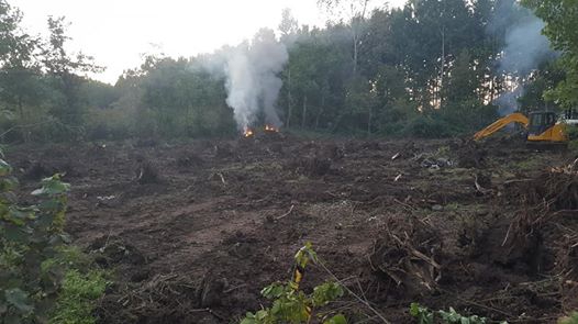 Terme Ahmetbey Köyü Resimleri 10