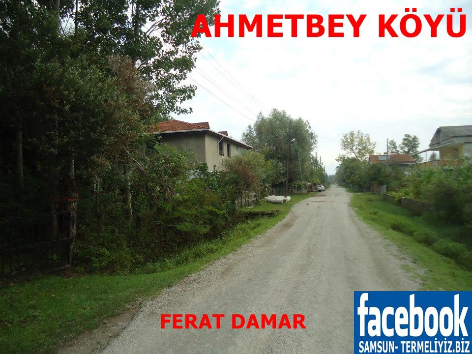 Terme Ahmetbey Köyü Resimleri 2