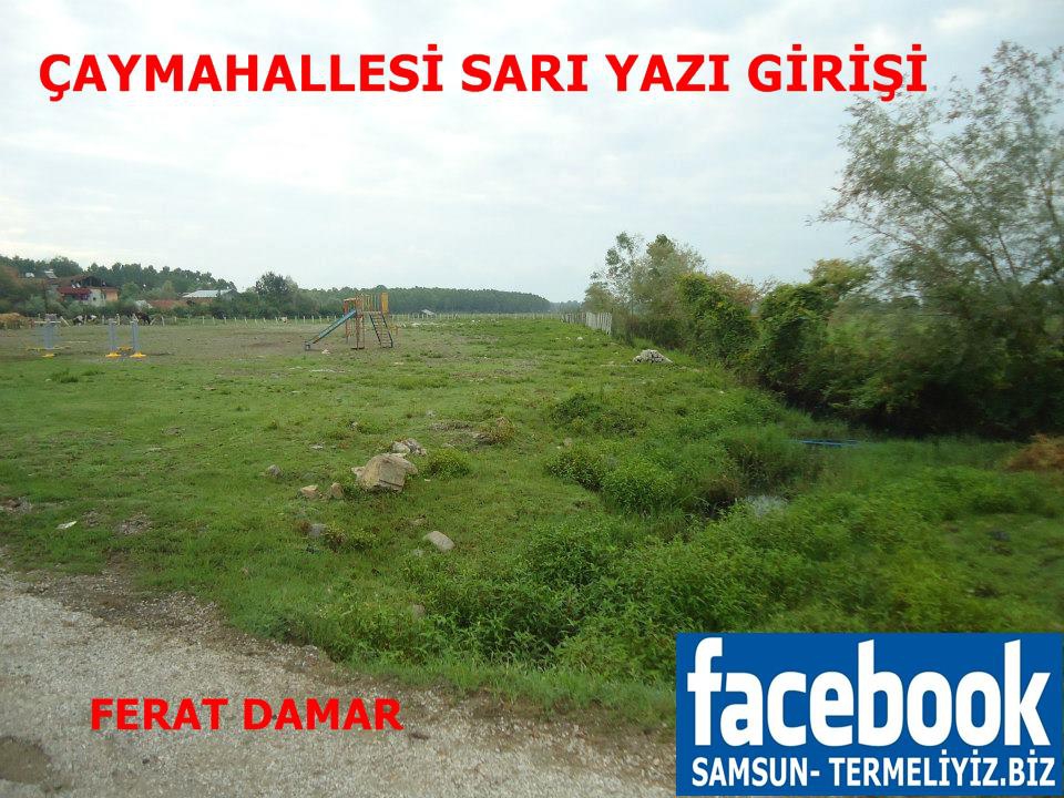 Terme Ahmetbey Köyü Resimleri 3