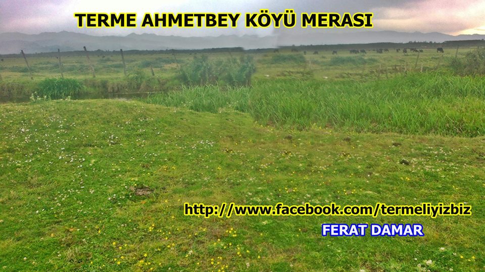 Terme Ahmetbey Köyü Resimleri 7