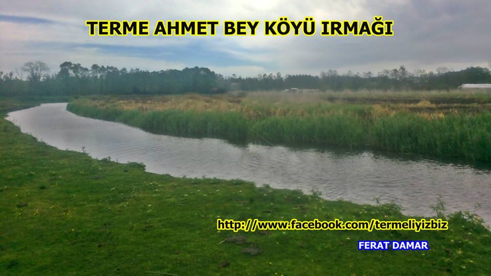Terme Ahmetbey Köyü Resimleri 8