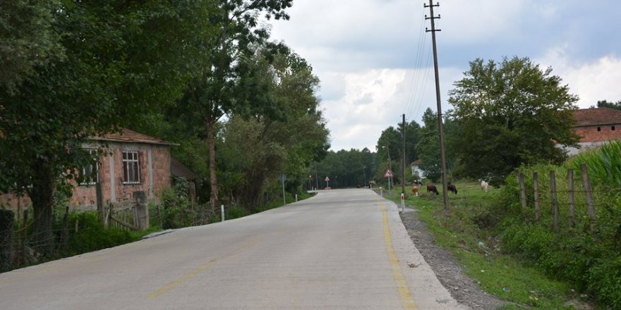 Terme Ahmetbey Köyü Resimleri