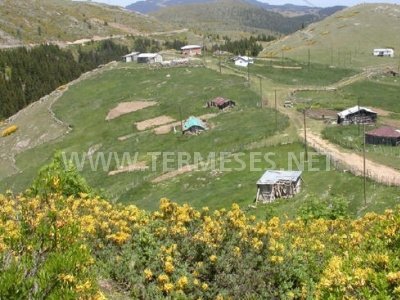 Terme Akbucak Köyü Resimleri 5