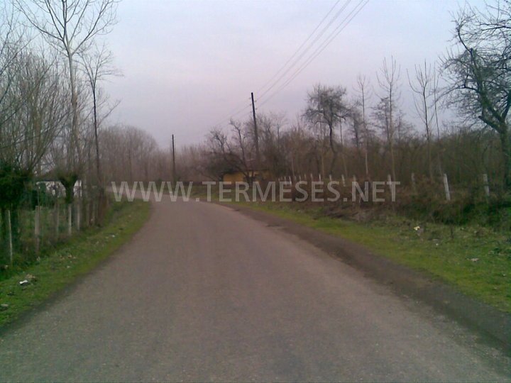 Terme Akbucak Köyü Resimleri 9