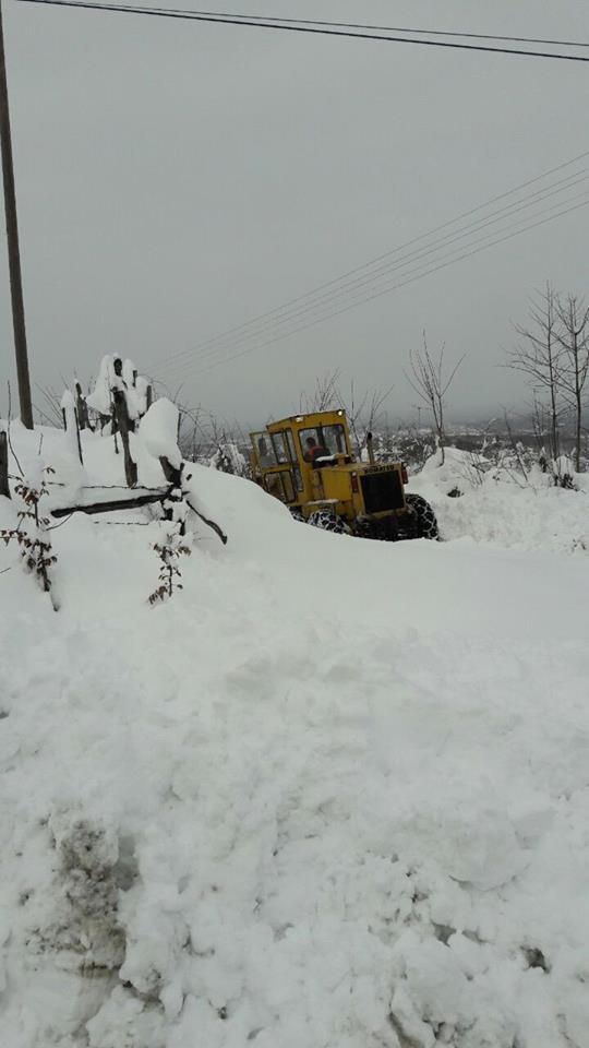 Terme Akçaykaracalı Köyü Resimleri 10