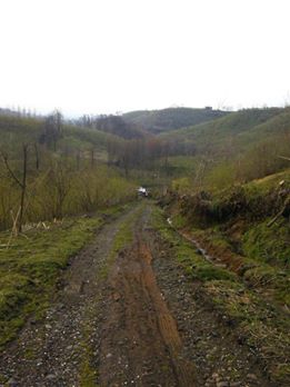 Terme Akçaykaracalı Köyü Resimleri 11