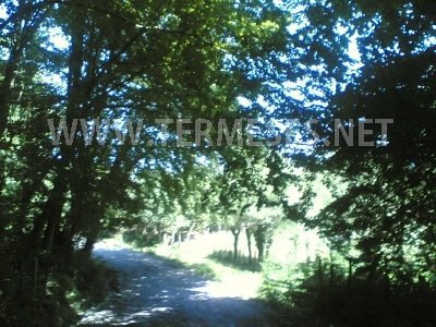 Terme Akçaykaracalı Köyü Resimleri 4