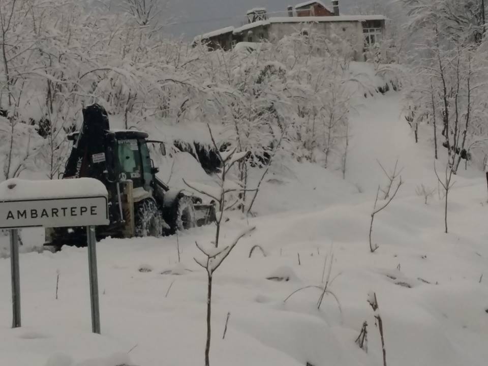 Terme Altınlı Köyü Rsimleri 3