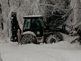 Terme Altınlı Köyü Rsimleri 4