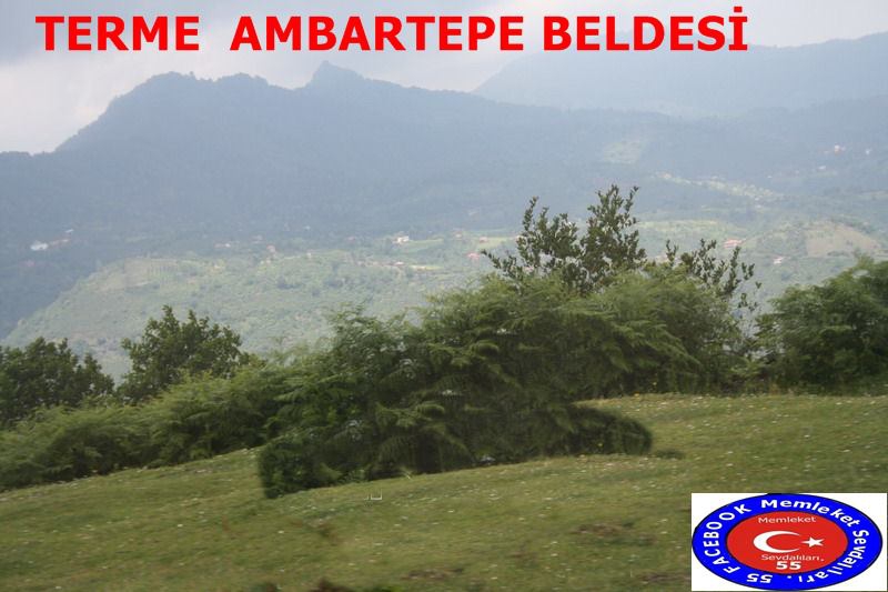 Terme Ambartepe Köyü Resimleri 10