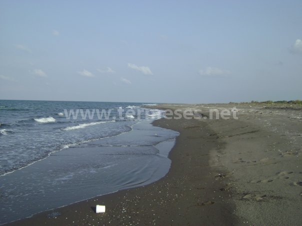 Terme Bafracalı Köyü Resimleri 3