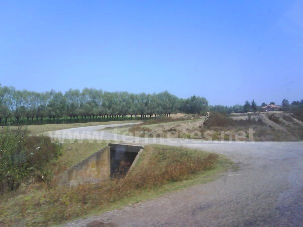 Terme Bafracalı Köyü Resimleri 6