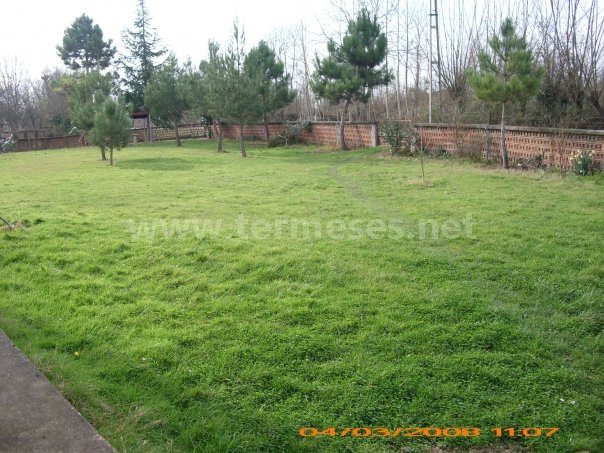 Terme Bafracalı Köyü Resimleri 8