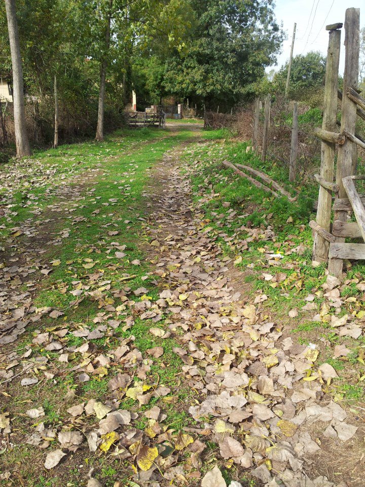 Terme Bağsaray Köyü Resimleri 1