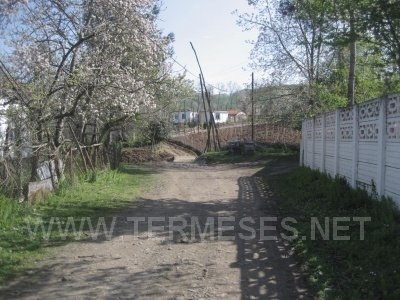 Terme Bağsaray Köyü Resimleri 8