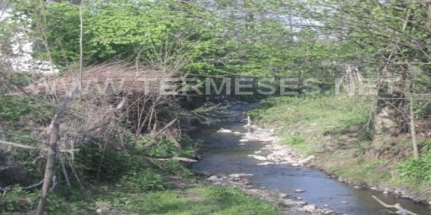 Terme Bağsaray Köyü Resimleri