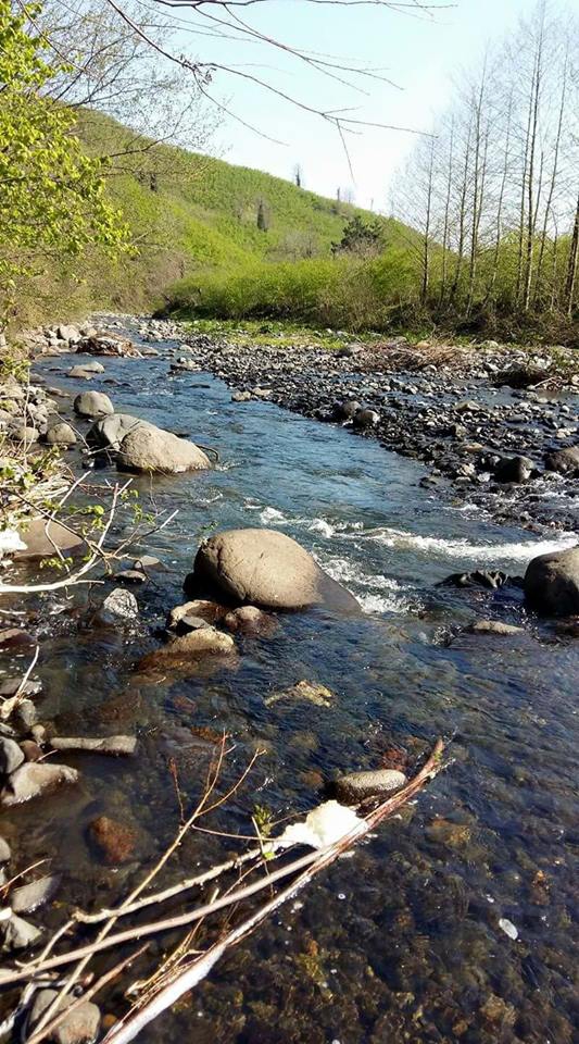 Terme Bazlamaç Köyü Resimleri 11