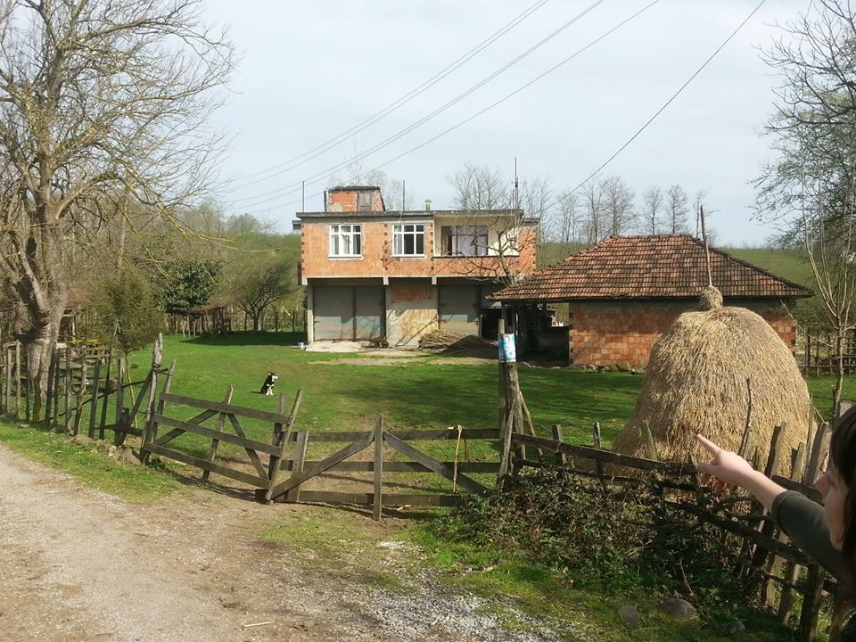 Terme Bazlamaç Köyü Resimleri 7