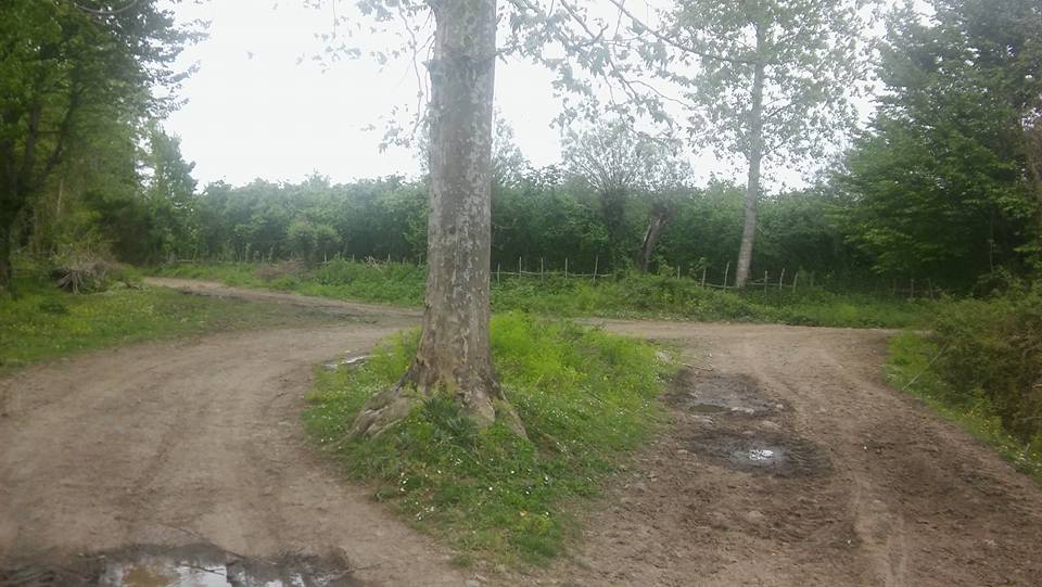 Terme Beşikli Köyü Resimleri 8