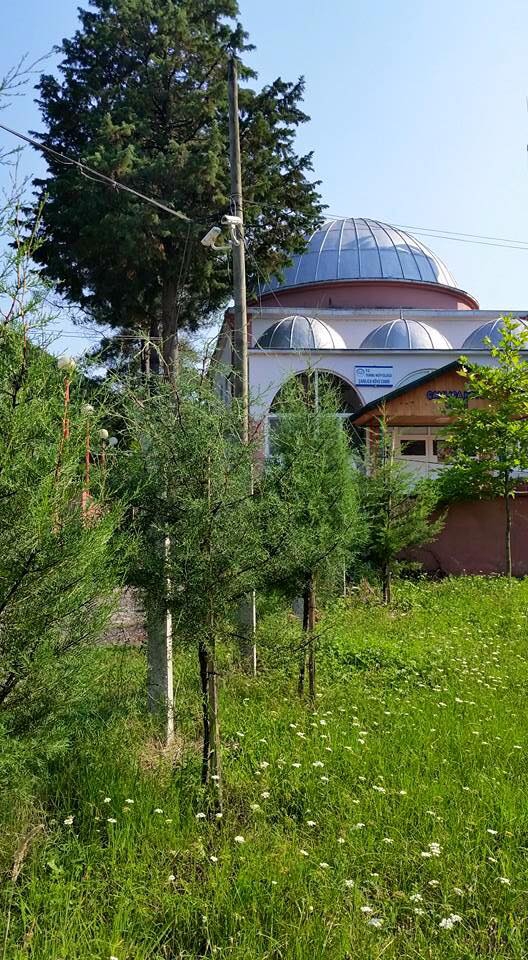 Terme Çamlıca Köyü Resimleri 2