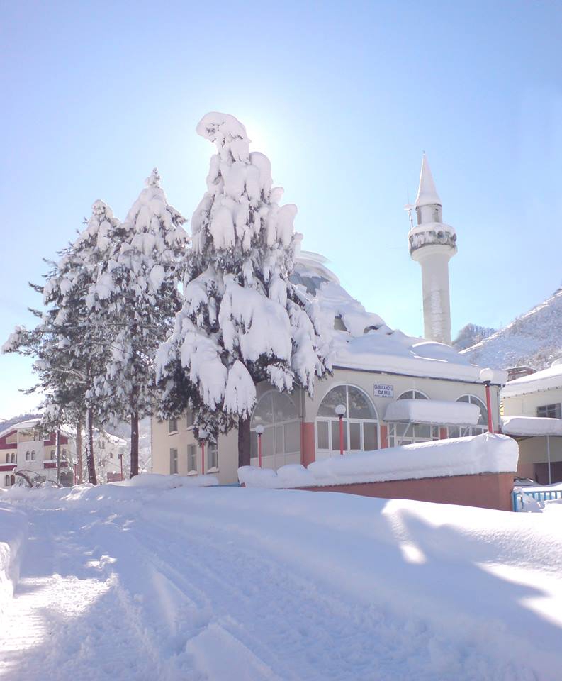 Terme Çamlıca Köyü Resimleri 3