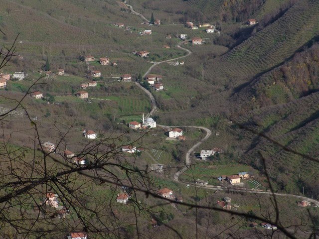 Terme Çamlıca Köyü Resimleri 4