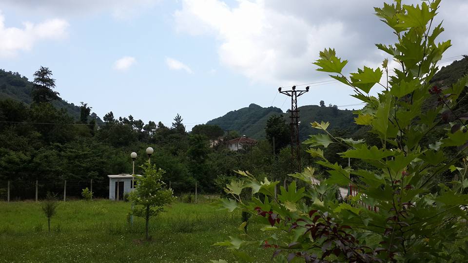 Terme Çamlıca Köyü Resimleri 5