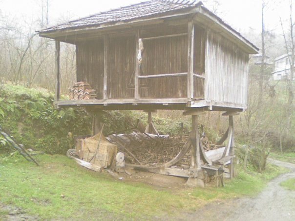 Terme Çamlıca Köyü Resimleri 6