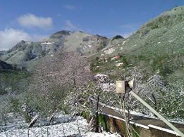 Terme Çamlıca Köyü Resimleri 7