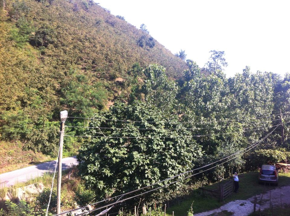 Terme Çamlıca Köyü Resimleri 9