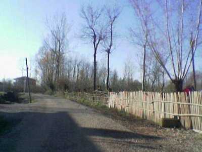 Terme Çanaklı Köyü Resimleri 1