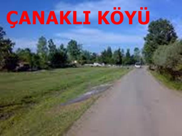 Terme Çanaklı Köyü Resimleri 4