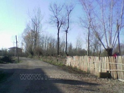 Terme Çanaklı Köyü Resimleri 6