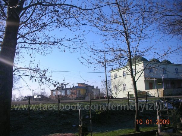 Terme Çangallar Köyü Resimleri 8