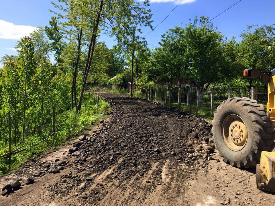 Terme Çardak Köyü Resimleri 6