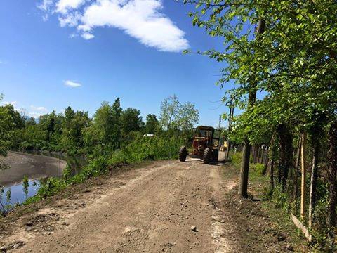 Terme Çardak Köyü Resimleri 7