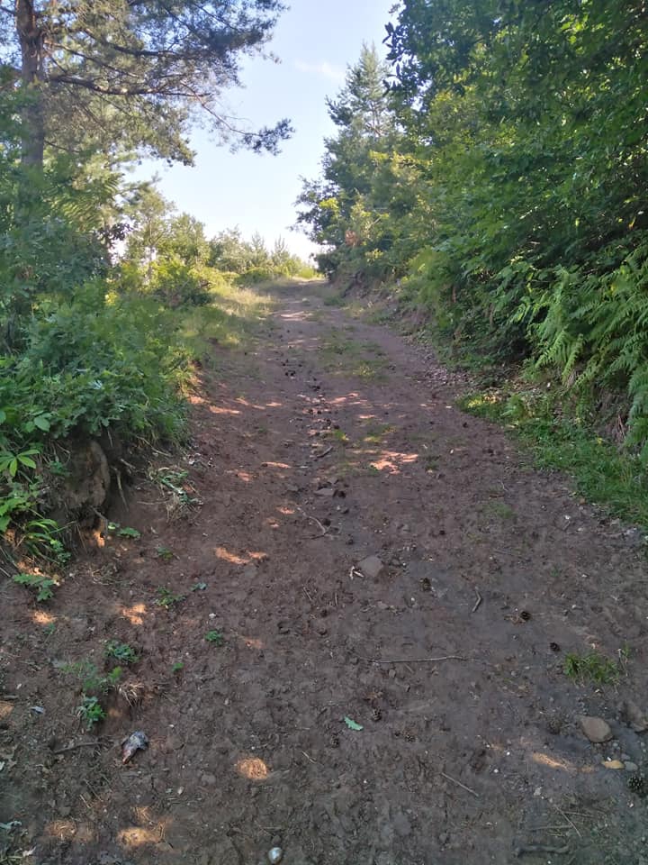 Niksar Karakaş Köyü Resimleri 5