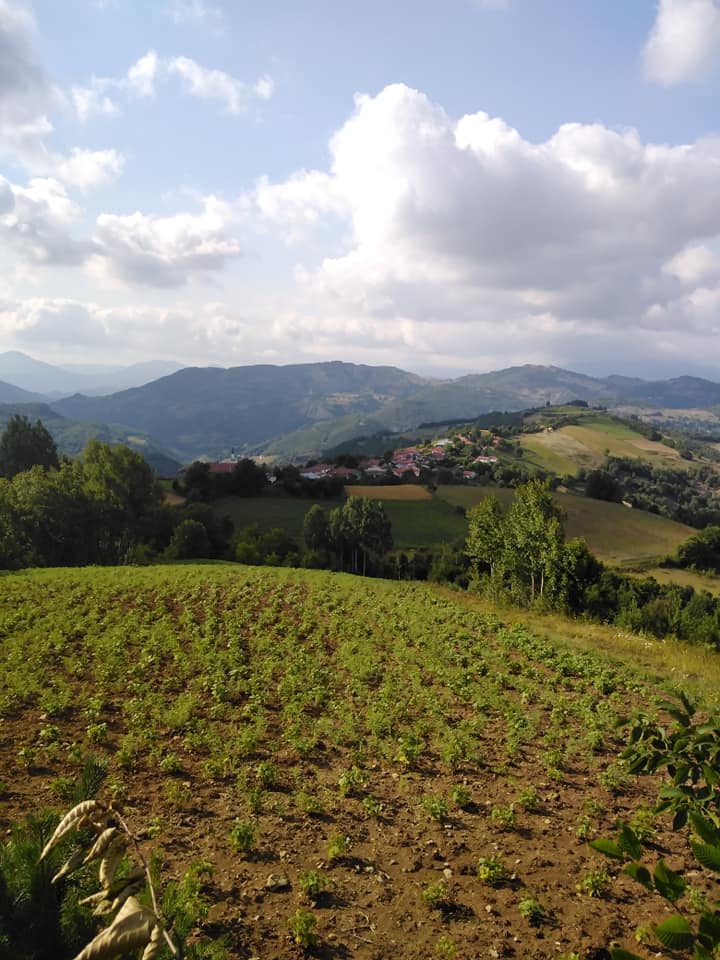 Niksar Karakaş Köyü Resimleri 6