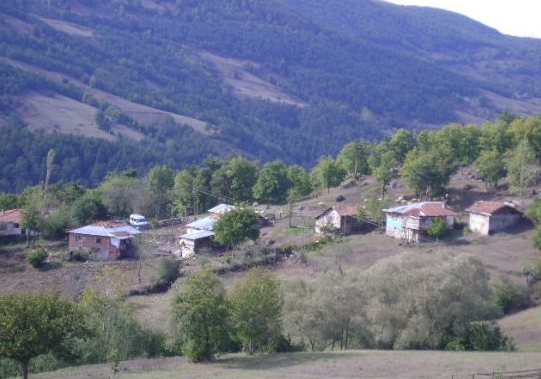 Niksar Kaşıkçı Köyü Resimleri 3