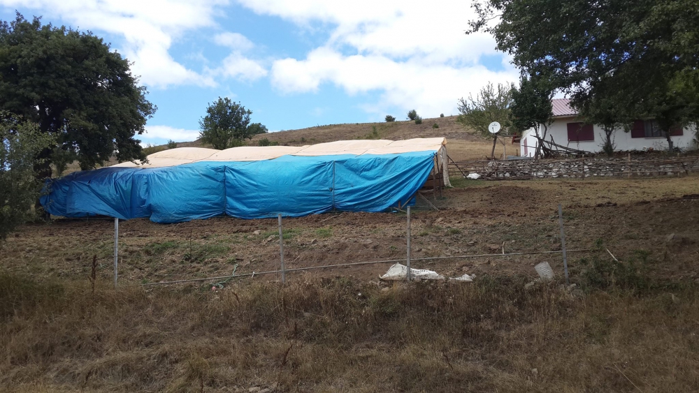 Niksar Kaşıkçı Köyü Resimleri 4