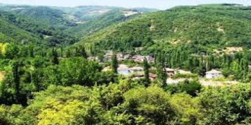 Niksar Korulu Köyü Resimleri