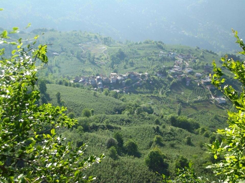 Gölköy Alanyurt Köyü Resimleri 1