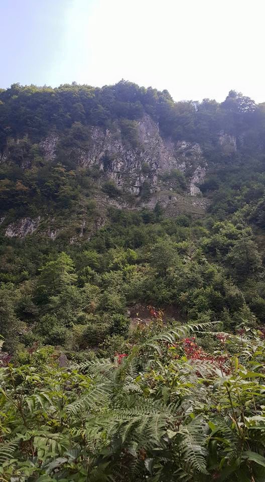 Gölköy Alanyurt Köyü Resimleri 4