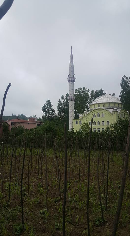 Gölköy Alanyurt Köyü Resimleri 5