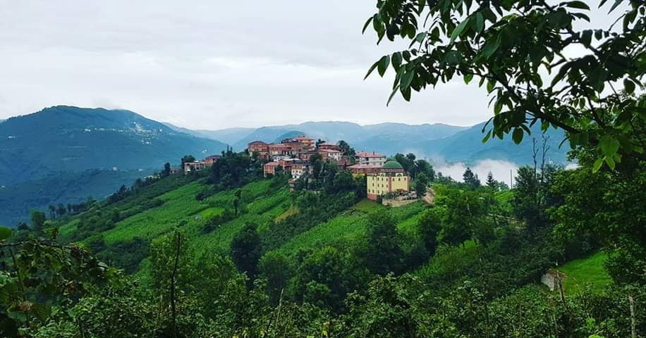 Gölköy Bayıralan Köyü Resimleri 5