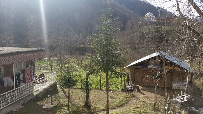 Gölköy Bulut Köyü Resimleri 2