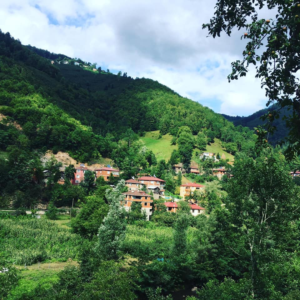 Gölköy Bulut Köyü Resimleri 6